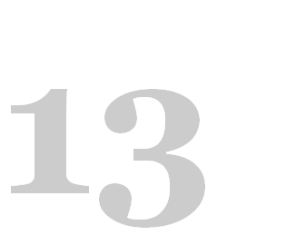 13